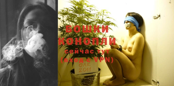 дживик Снежинск