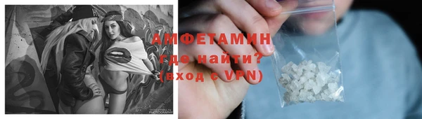 индика Сосновый Бор