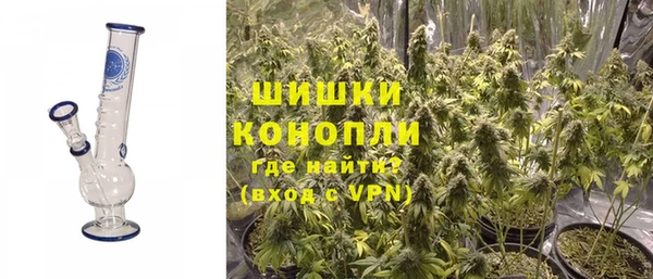 дживик Снежинск