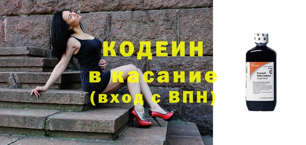 индика Сосновый Бор