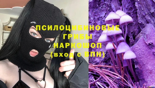 дживик Снежинск