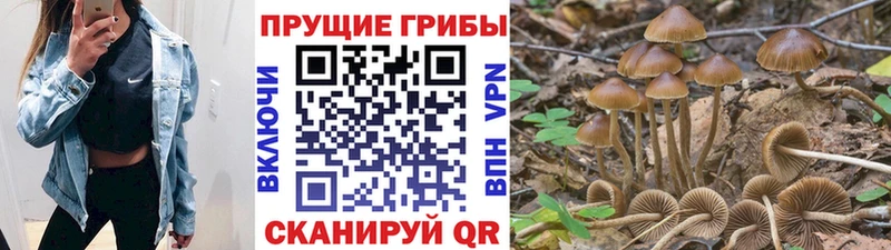 Псилоцибиновые грибы мицелий  Купить где  Окуловка 